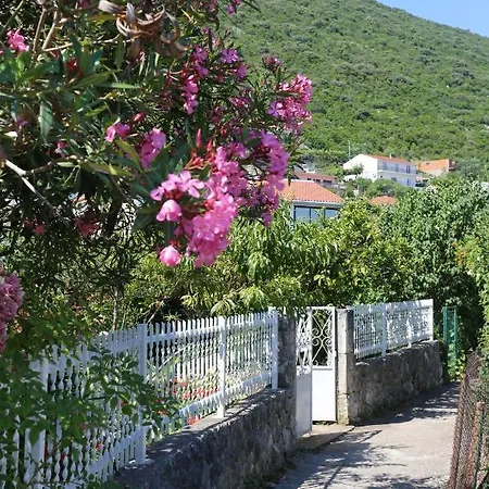 With Parking Space Trpanj, Peljesac - 10148 טרפאניי