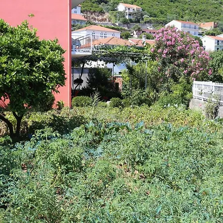 Apartment With Parking Space Trpanj, Peljesac - 10148